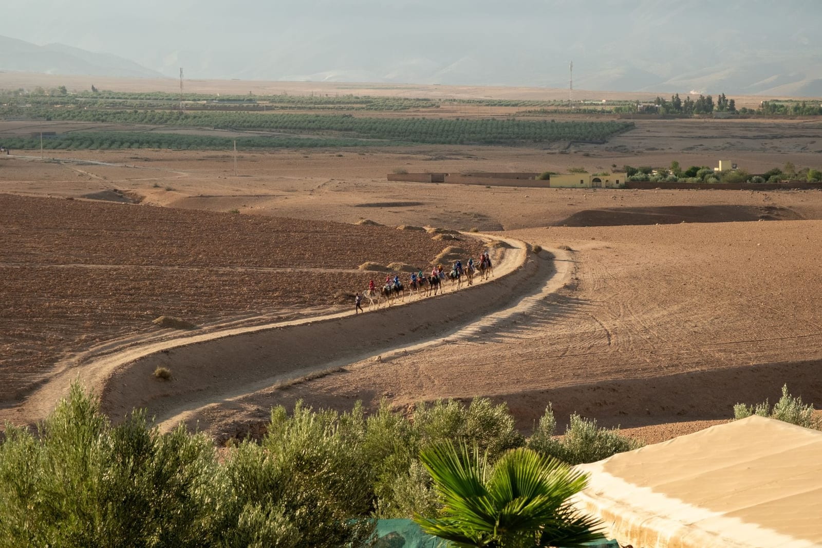 A camel caravan crossing the desert near Marrakech
