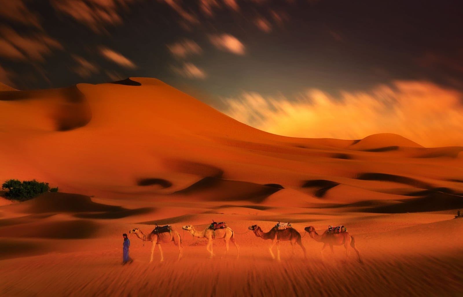 Camel riders following the ridge line in early light