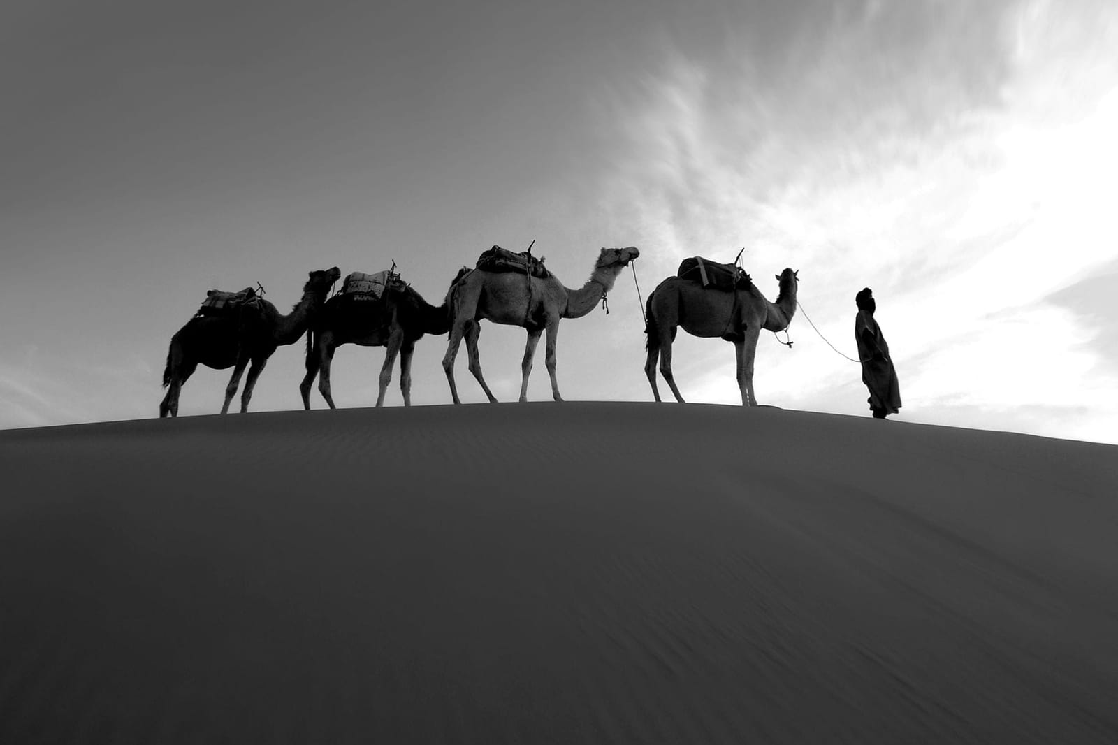 Caravan resting on the sand at first light