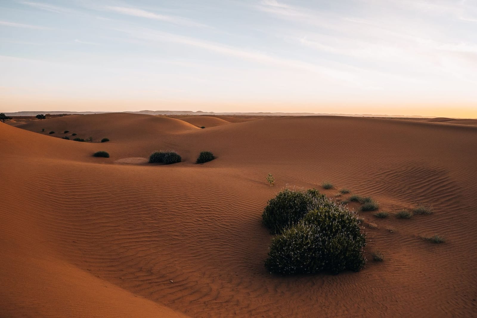 Wind-carved sand ridges stretching to the horizon
