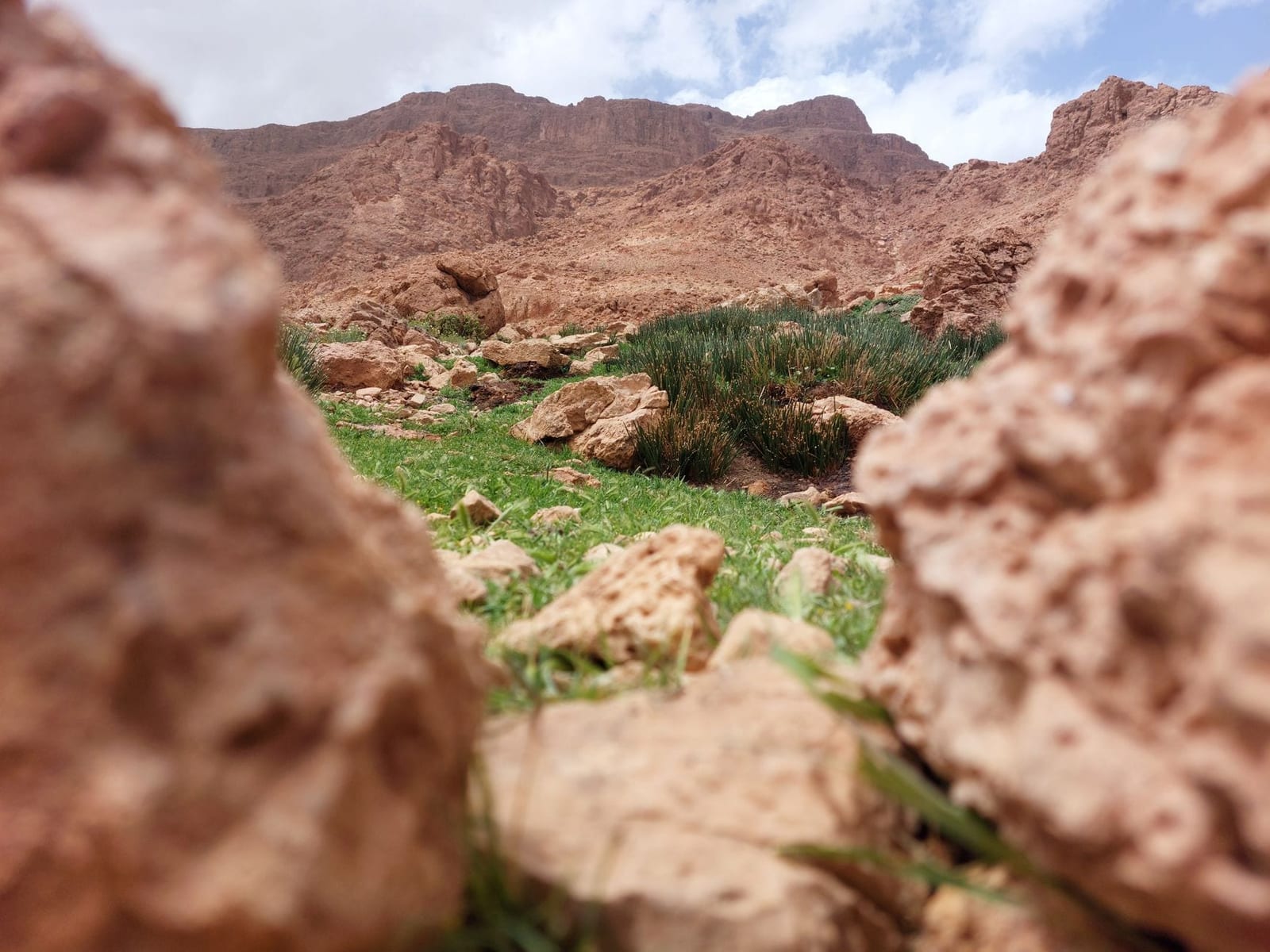 Rock formations and a green valley floor near Tinghir