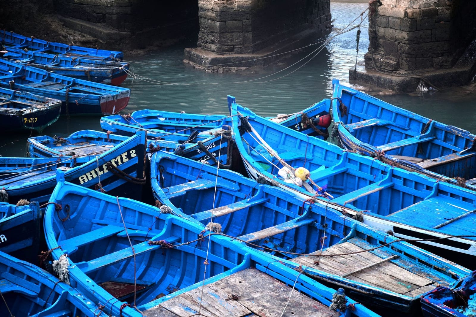 Seagulls over the fishing port of Essaouira