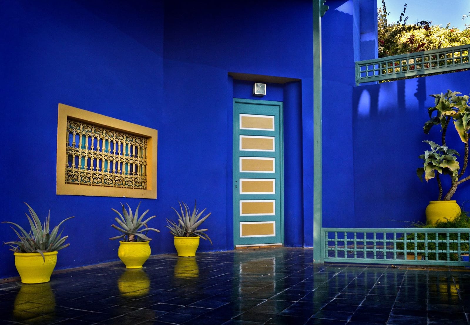 Cobalt-blue walls and cacti in a Marrakech garden